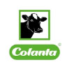 cinta_jumbo-al-100_colanta_2025-08-06